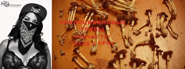 первитин Беломорск